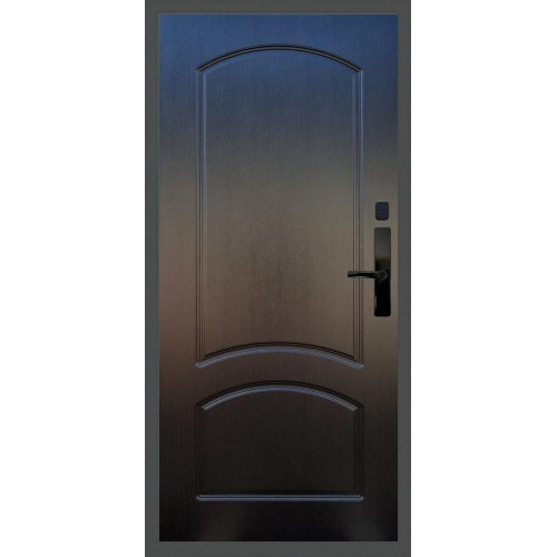Входная металлическая дверь Баяр 1 ФЛ-126, Цвет "Венге"