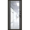 Входная металлическая дверь Branddoors Горизонт 024 Зеркало Maxi, Цвет "Антрацит"